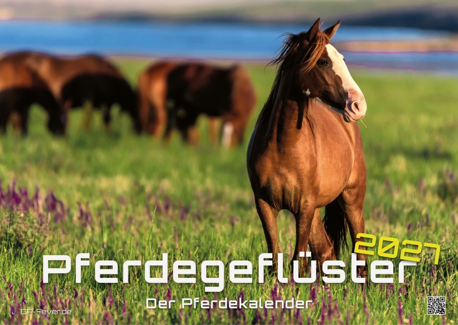 Pferdegeflüster - Der Pferdekalender - 2027 - Kalender DIN A3 - 