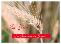 Cover-Bild zum Titel 'Im Feld (Wandkalender 2026 DIN A3 quer), CALVENDO Monatskalender' von 'Christine Wirges'
