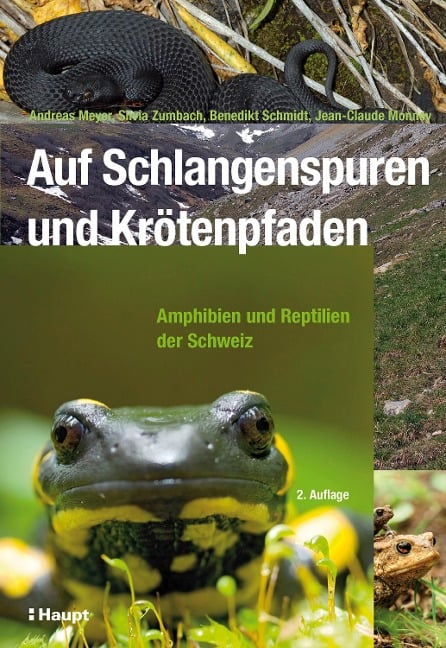 Auf Schlangenspuren und Krötenpfaden - Andreas Meyer, Silvia Zumbach, Benedikt R. Schmidt, Jean-Claude Monney