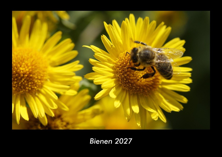 Bienen 2027 Fotokalender DIN A3 - Tobias Becker