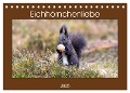 Eichhörnchenliebe (Tischkalender 2025 DIN A5 quer), CALVENDO Monatskalender - Teresa Bauer