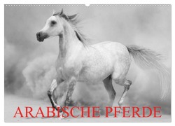 Cover-Bild zum Titel 'Arabische Pferde (Wandkalender 2026 DIN A2 quer), CALVENDO Monatskalender' von 'Elisabeth Stanzer'