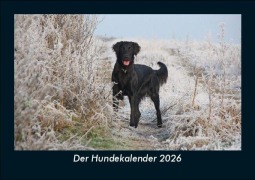 Cover-Bild zum Titel 'Der Hundekalender 2026 Fotokalender DIN A5' von 'Tobias Becker'