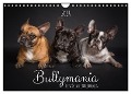 Bullymania - Französische Bulldoggen (Wandkalender 2024 DIN A4 quer), CALVENDO Monatskalender - Silke Gareis (SCHNAPP-Schuss)