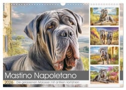 Mastino Napoletano. Die gelassenen Molosser mit antiken Vorfahren (Wandkalender 2026 DIN A3 quer), CALVENDO Monatskalender - Rose Hurley