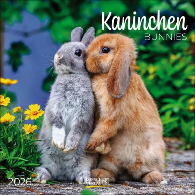 Kaninchen 2026 - 