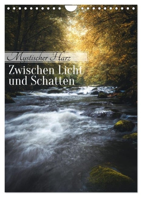 Mystischer Harz - Zwischen Licht und Schatten (Wandkalender 2026 DIN A4 hoch), CALVENDO Monatskalender - Patventure Patventure