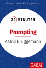  30 Minuten Prompting