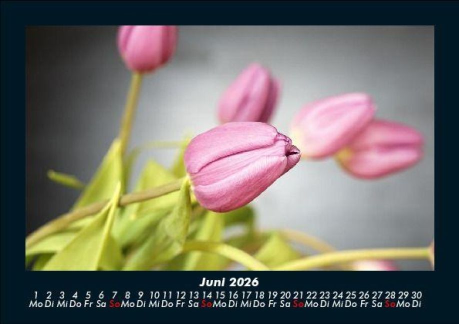 InsideView 10
