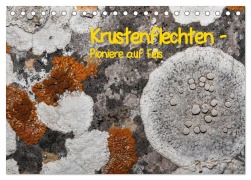 Cover-Bild zum Titel 'Krustenflechten - Pioniere auf Fels (Tischkalender 2026 DIN A5 quer), CALVENDO Monatskalender' von 'Focusnatura. At Focusnatura. At'