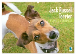 Jack Russell Terrier: flink und verspielt (Wandkalender 2026 DIN A2 quer), CALVENDO Monatskalender - Calvendo Calvendo