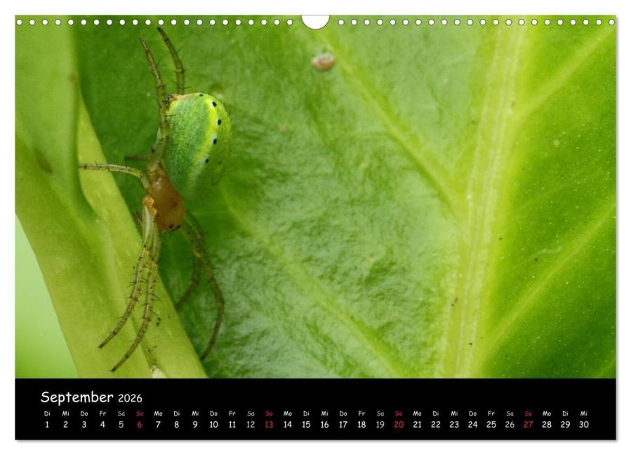 InsideView 11