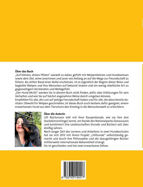 InsideView 1