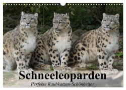 Cover-Bild zum Titel 'Schneeleoparden. Perfekte Raubkatzen-Schönheiten (Wandkalender 2026 DIN A3 quer), CALVENDO Monatskalender' von 'Elisabeth Stanzer'