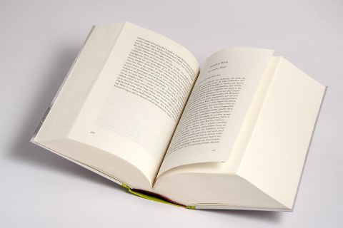 InsideView 6