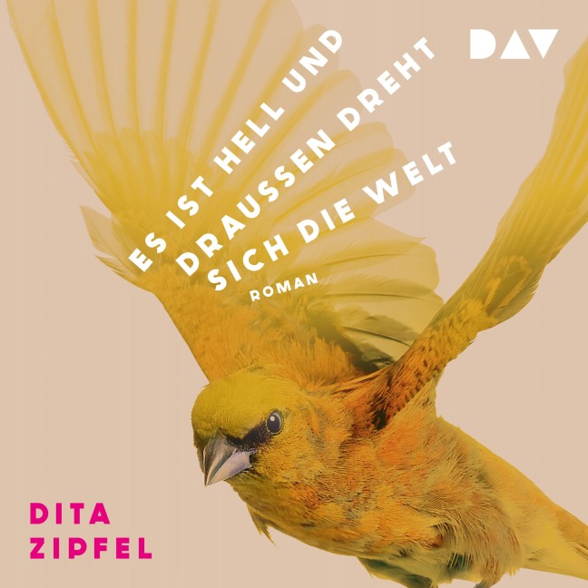 Es ist hell und draußen dreht sich die Welt - Dita Zipfel