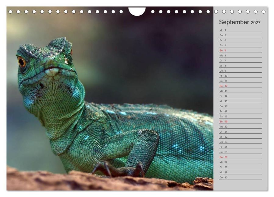 InsideView 14