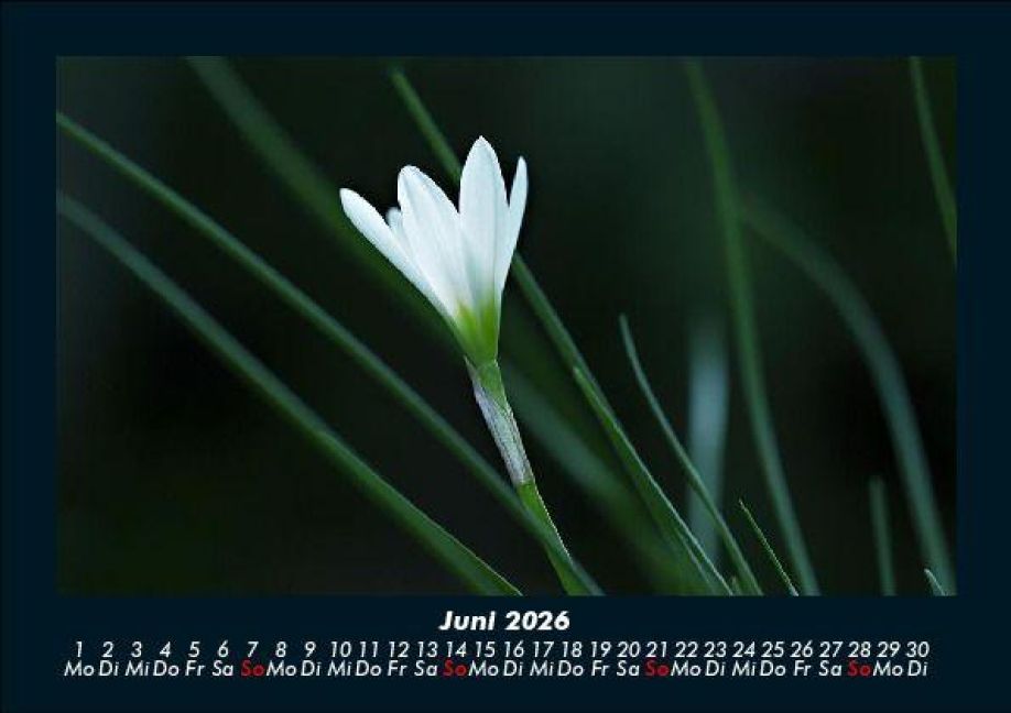 InsideView 10