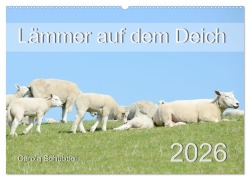 Lämmer auf dem Deich (Wandkalender 2026 DIN A2 quer), CALVENDO Monatskalender - Carola Schubbel