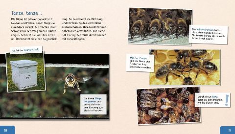InsideView 5