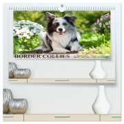 Cover-Bild zum Titel 'Border Collies - nicht nur schwarzweiß (hochwertiger Premium Wandkalender 2026 DIN A2 quer), Kunstdruck in Hochglanz' von 'Judith Kiener - DoraZett'