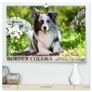 Cover-Bild zum Titel 'Border Collies - nicht nur schwarzweiß (hochwertiger Premium Wandkalender 2026 DIN A2 quer), Kunstdruck in Hochglanz' von 'Judith Kiener - DoraZett'