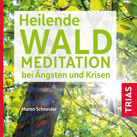Heilende Waldmeditation bei Ängsten und Krisen - Maren Schneider