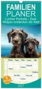 Cover-Bild zum Titel 'Familienplaner 2027 - Lurcher Portraits - Zwei Welpen entdecken die Welt mit 5 Spalten (Wandkalender, 21 x 45 cm) CALVENDO' von 'Kerstin Hesse'