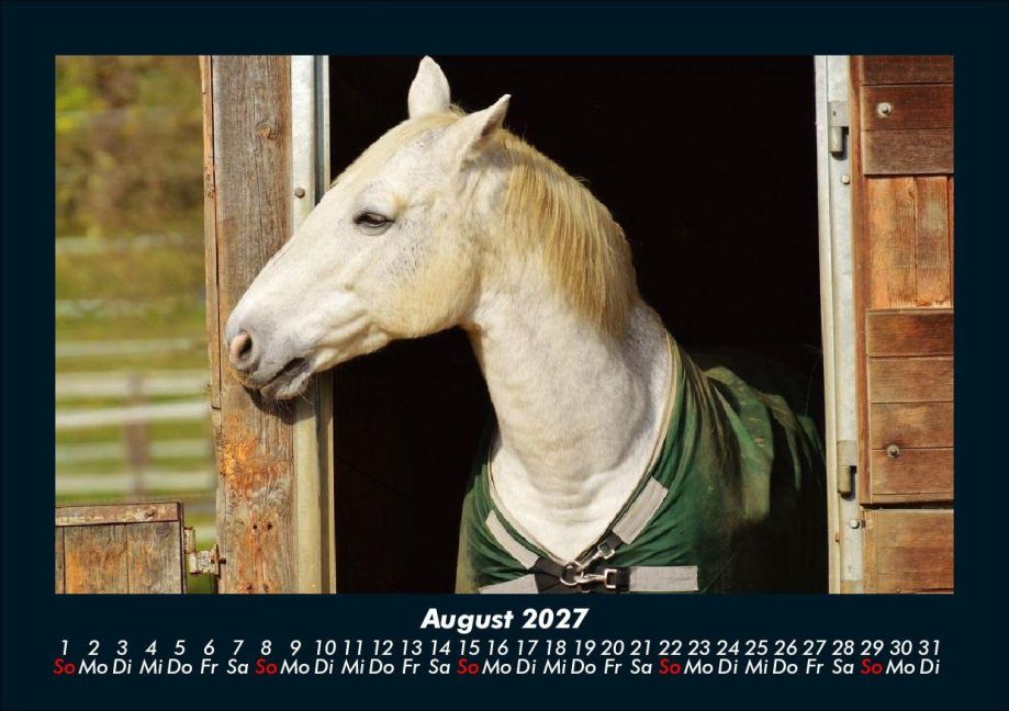 InsideView 12