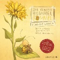 Cover-Bild zum Titel 'Die kleine Hummel Bommel und die Liebe (Die kleine Hummel Bommel)' von 'Britta Sabbag, Maite Kelly'