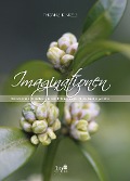 Cover-Bild zum Titel 'Imaginationen' von 'Thomas Kinkele'