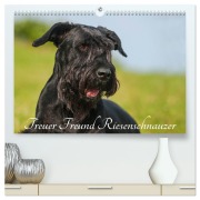 Cover-Bild zum Titel 'Treuer Freund Riesenschnauzer (hochwertiger Premium Wandkalender 2026 DIN A2 quer), Kunstdruck in Hochglanz' von 'Sigrid Starick'