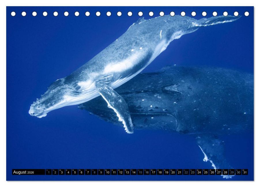 InsideView 13