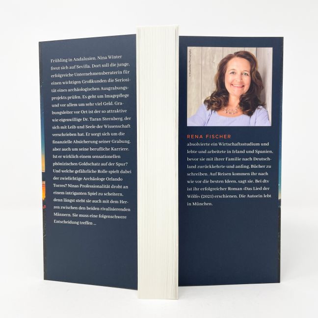 InsideView 3