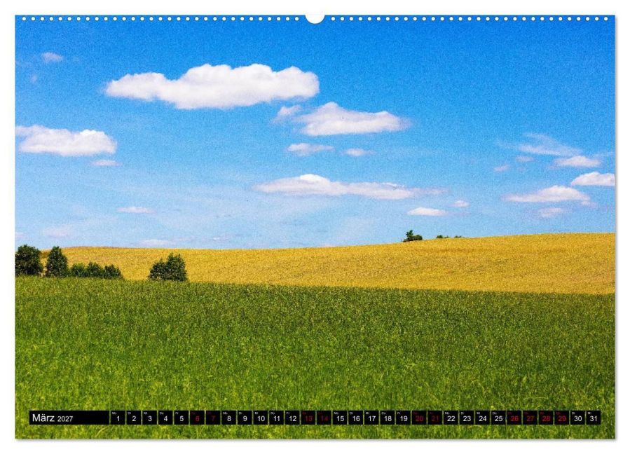 InsideView 8