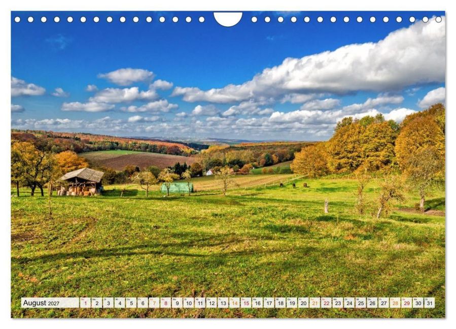 InsideView 13
