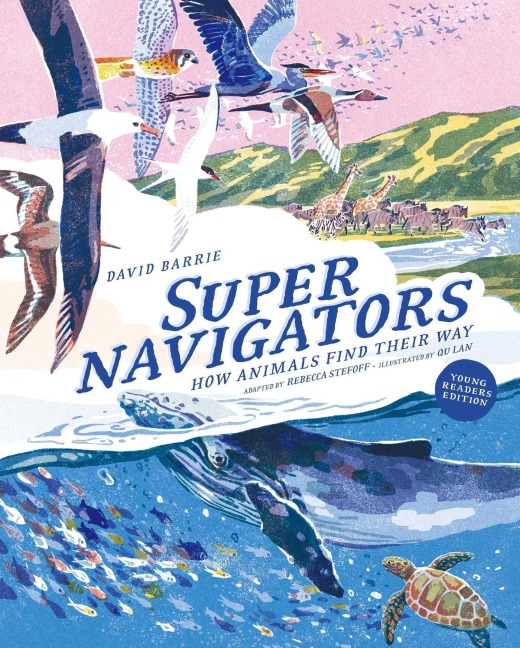 Supernavigators - David Stefoff Barrie