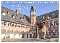 Cover-Bild zum Titel 'Reinbek mopsfidel (Wandkalender 2026 DIN A4 quer), CALVENDO Monatskalender' von 'Ole und Julia Dodeck'