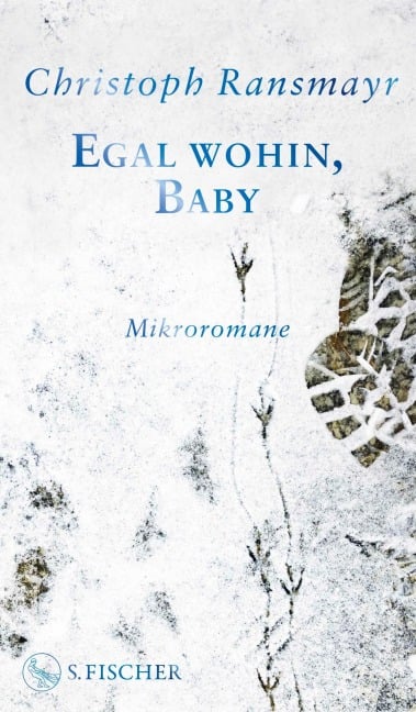 Egal wohin, Baby - Christoph Ransmayr