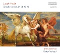 Cover-Bild zum Titel 'Sinfonien 24,30,42,43' von 'György/Orfeo Orchestra Vasgehgyi'