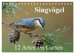 Cover-Bild zum Titel 'Singvögel - 12 Arten im Garten (Tischkalender 2026 DIN A5 quer), CALVENDO Monatskalender' von 'Bia Birdimagency'