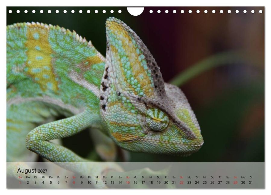 InsideView 13