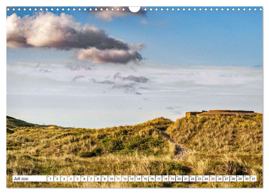 InsideView 12