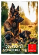 Cover-Bild zum Titel 'Deutscher Schäferhund - mutig und zuverlässig (Wandkalender 2026 DIN A2 hoch), CALVENDO Monatskalender' von 'Peter Roder'
