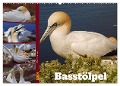 Faszination Basstölpel (Wandkalender 2024 DIN A2 quer), CALVENDO Monatskalender - Babett Paul - Babetts Bildergalerie