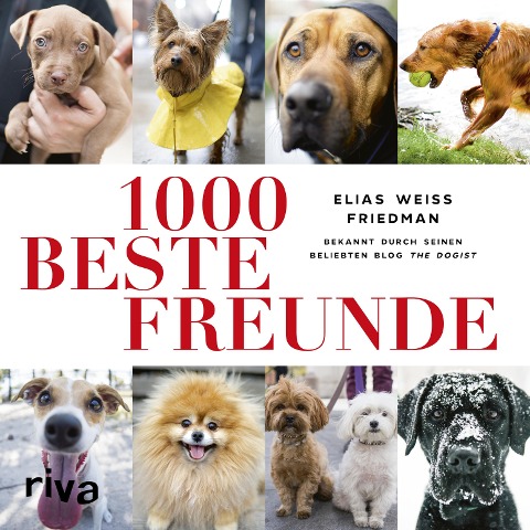 1000 beste Freunde - Elias Weiss Friedman
