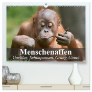 Cover-Bild zum Titel 'Menschenaffen. Gorillas, Schimpansen, Orang-Utans (hochwertiger Premium Wandkalender 2026 DIN A2 quer), Kunstdruck in Hochglanz' von 'Elisabeth Stanzer'