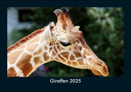 Cover-Bild zum Titel 'Giraffen 2025 Fotokalender DIN A5' von 'Tobias Becker'