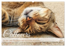 Cover-Bild zum Titel 'Catlovers - Ein Jahr voller Samtpfoten und charmanten Weisheiten (Wandkalender 2026 DIN A2 quer), CALVENDO Monatskalender' von 'Michaela Schimmack'