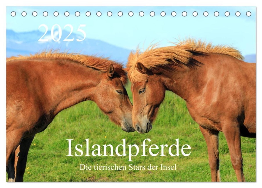 Islandpferde - Die tierischen Stars der Insel (Tischkalender 2025 DIN A5 quer), CALVENDO Monatskalender - Rainer Grosskopf